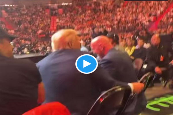 WATCH: UFC Crowd ERUPTS When Trump Stands Up, Thunderous “U-S-A” Chant Breaks Out