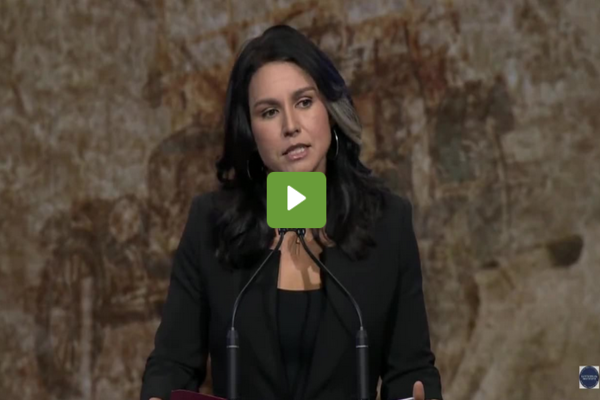 WATCH: Tulsi Gabbard Scorches Democrat Party For Leading Us To The Brink Of…